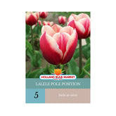 Hectarul - Bulbi de lalele Pole Position, 5 bulbi